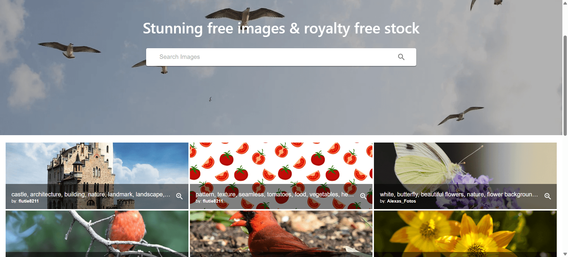 Image Search & Download Platform (Product Demo) screenshot